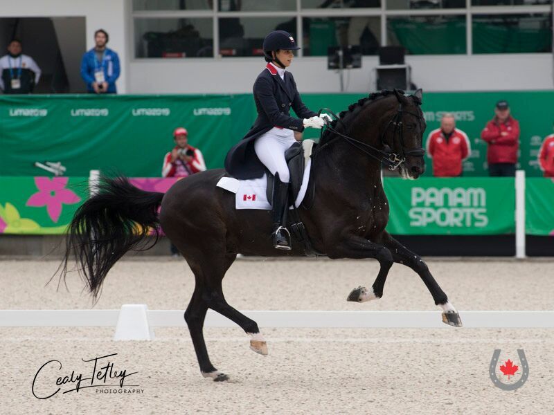 Canadian Dressage Team Takes Gold at Lima 2019 Pan Am Games and Punches Ticket to Tokyo